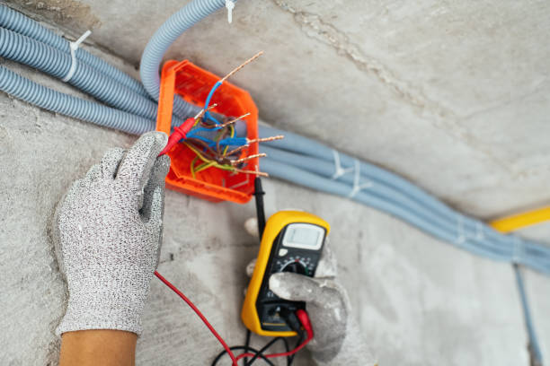 Best Electric Panel Repair  in Funny River, AK